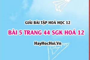 Giải bài 5 trang 44 SGK Hoá 12: Tính chất hoá học của Amin